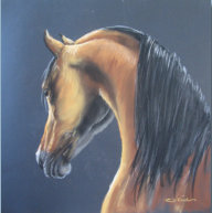 pastello su carta 50x50 cm